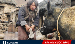 Đem trâu tặng cho người nghèo, vài tháng sau, anh nhà giàu nhận lại thứ ngoài tưởng tượng
