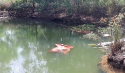 Phát hiện cô gái trẻ chết dưới ao, dây thừng quấn quanh người