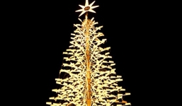 Đà Nẵng thắp sáng cây thông Noel cao nhất Việt Nam