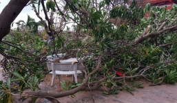 Bão số 16 càn quét, đánh gãy hầu hết cây cối ở Trường Sa