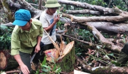 Kỷ luật đảng và quân đội một quyền trưởng đồn biên phòng Tam Hợp