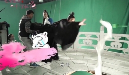 'Sự thật khốn khổ' trong các cảnh bay lượn, đấu võ trên không phim cổ trang