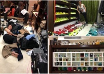 Đồ hiệu 'chất đống' như kho hàng trong biệt thự Đàm Vĩnh Hưng