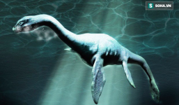 Phát hiện sinh vật biển khổng lồ ở Nam Cực, rất giống quái vật hồ Loch Ness
