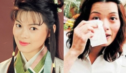 Mỹ nhân 'Thiên long bát bộ tan' nát sự nghiệp sau scandal cưỡng bức, phải bán bảo hiểm mưu sinh