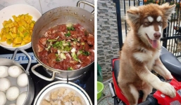 Thực đơn ăn một ngày 'quá sang chảnh' của chú chó khiến dân mạng tranh cãi