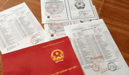 Miễn nhiệm Phó Chánh Thanh tra tỉnh Hải Dương vì sử dụng bằng giả