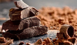 Tin buồn đầu năm: Thế giới có thể sẽ hết chocolate để ăn chỉ trong vòng 40 năm nữa?