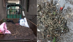 Vụ nổ kinh hoàng ở Bắc Ninh: Thu gom thêm được hơn 3 tấn đầu đạn