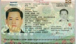 Vũ 'nhôm' có thể đối mặt mức án 15 năm tù