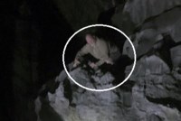 Phút nghẹt thở giải cứu du khách người Anh trượt vào khe núi trong đêm ở đảo Cát Bà