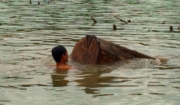 Phát hiện bãi gỗ lậu 'khủng' được giấu dưới lòng hồ thủy điện Sê San 3A