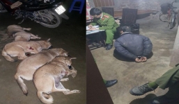 Bắt trộm gần 1 tạ chó bị người dân tóm gọn