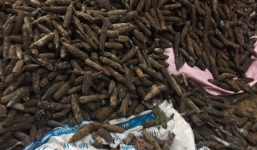 Ông Tiến khai rải muối lên đạn, Đại tá Vũ Quốc Bình nói 'việc làm này hết sức nguy hiểm'