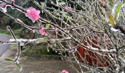 Hà Nội sắp đón đợt rét mạnh nhất từ đầu đông, vùng núi có băng giá