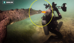 Lặn xuống nước 'săn' cá sấu, thấy vợ cách hàm tử thần vài cm, anh chồng làm 1 việc khó tin
