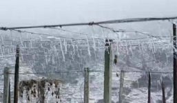 Miền Bắc hứng chịu đợt rét 'kỷ lục', Mẫu Sơn đã xuất hiện băng tuyết