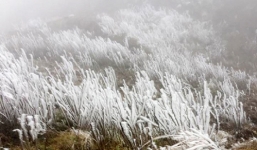 Rét kỷ lục 3 độ C, băng giá bao phủ một số đỉnh núi ở Mù Cang Chải