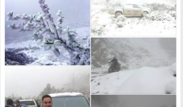 Thực hư thông tin tuyết rơi phủ trắng vùng núi cao Nghệ An