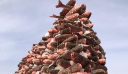 Độc đáo bức tường được xây bằng 2.000 con cá giữa hồ băng 