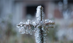 Băng giá xuất hiện dày đặc trên đỉnh đèo Ô Quy Hồ tạo nên khung cảnh tuyệt đẹp