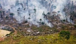 24 bức ảnh cho thấy rừng Amazon từ lá phổi xanh của thế giới đã trở thành chứng tích cho sự tàn phá của con người