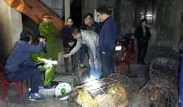 Hà Tĩnh: Triệt phá đường dây trộm và tiêu thụ 'cực khủng' lên đến hàng trăm con chó