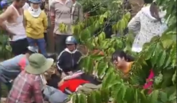 Hai người bị điện giật rơi xuống suối tử vong 