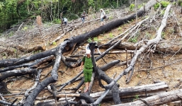Đề nghị truy tố 2 vợ chồng phá 3,6 ha rừng phòng hộ trong vòng 2 tháng