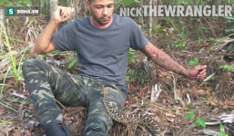 Vô tình ngồi ngay cạnh rắn kịch độc, chàng trai này làm thế nào để thoát nạn?