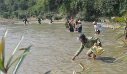Vỡ bể chất thải nhà máy chế biến sắn khiến cá chết hàng loạt vì ô nhiễm