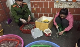 Bắt quả tang cơ sở bơm hóa chất vào tôm kiếm lợi nhuận