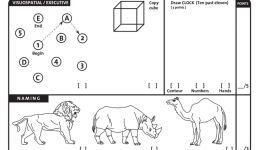 Ông Trump xuất sắc vượt trội người thường ở bài kiểm tra tâm thần