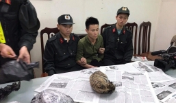 Khởi tố hình sự đối tượng vận chuyển 5 con hổ quý hiếm đông lạnh