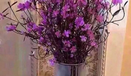 Cẩn trọng với độc tố bên trong hoa đỗ quyên ngủ đông đang gây sốt