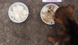 Dân mạng lên kế hoạch rước cúp sau chiến thắng của U23 Việt Nam