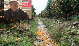 Bắt giữ đối tượng dùng thuốc diệt cỏ phá hoại 400 cây quất cảnh của người dân 