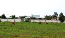 8 thanh niên xông vào bệnh viện bắt người đem đi đánh