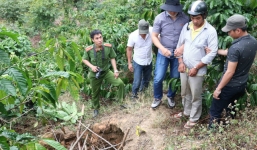 Sát hại chủ nợ rồi phi tang xác trên rẫy cà phê