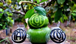 Trái cây chưng Tết bạc triệu đặc biệt hút khách