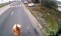 Vụ CSGT dẫm lên vật nghi là tiền: CA tỉnh nói không đủ căn cứ xác định nhận mãi lộ