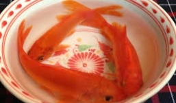 Cách chọn cá chép cúng Tết ông Táo 'chuẩn' nhất thể hiện sự thành tâm của gia chủ