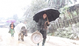 Không khí lạnh dồn sâu, miền Bắc rét buốt dưới 0 độ C