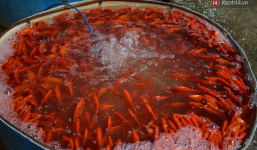 Chợ cá lớn nhất Hà Nội nhộn nhịp trước giờ ông công ông táo về chầu trời