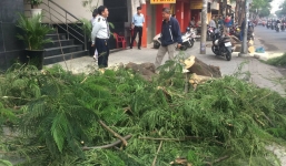 Cây xanh bật gốc đè trúng 2 người dân đang lưu thông trên phố Sài Gòn