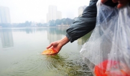 Con số giật mình từ thói quen xấu khi thả cá chép ngày 23 tháng Chạp