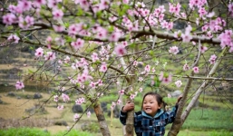 Tin thời tiết 9/2: Miền Bắc ấm tưng bừng trước ngày mưa rét