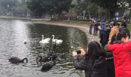 PGS Hà Đình Đức: 'Họ bảo tôi không làm gì cho Hồ Gươm, khiến rùa chết còn bảo thủ'