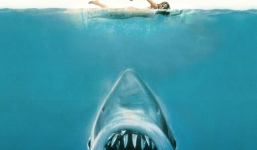 Tại sao cá mập luôn là nỗi khiếp sợ, dù chúng ta giết tới hàng triệu con mỗi năm?
