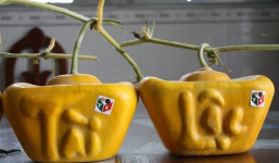 Dưa hấu thỏi vàng hét giá 3,5 triệu đồng/cặp vẫn cháy hàng